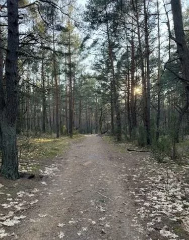 Działka 1 619,00 m², oferta nr , 22875/78/OGS, Łomianki