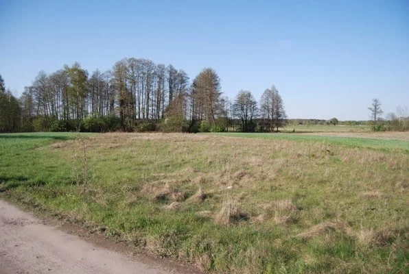 23112/78/OGS - zdjęcie nr 3