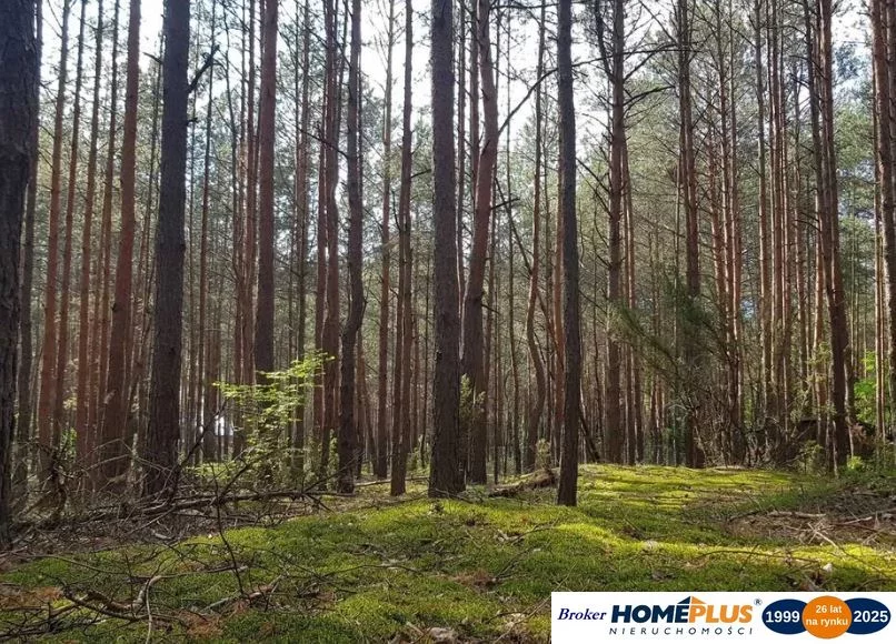 Apartamenty 23279/78/OGS Łosie
