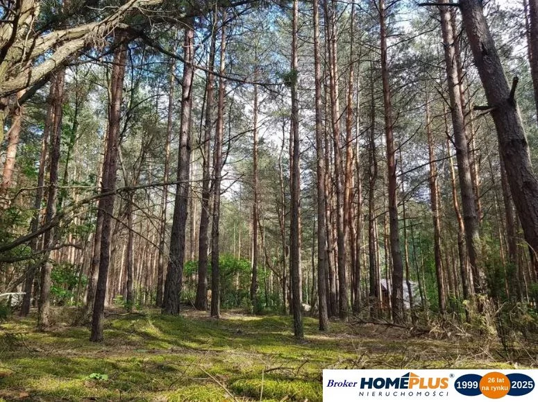 Działka 980,00 m², oferta nr , 23279/78/OGS, Łosie