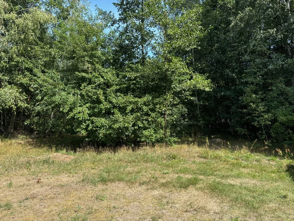 Działka 3 566,00 m², oferta nr , 23152/78/OGS, Ludwinów