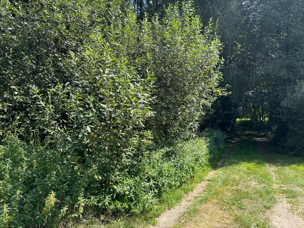 Działka 3 566,00 m², oferta nr , 23152/78/OGS, Ludwinów