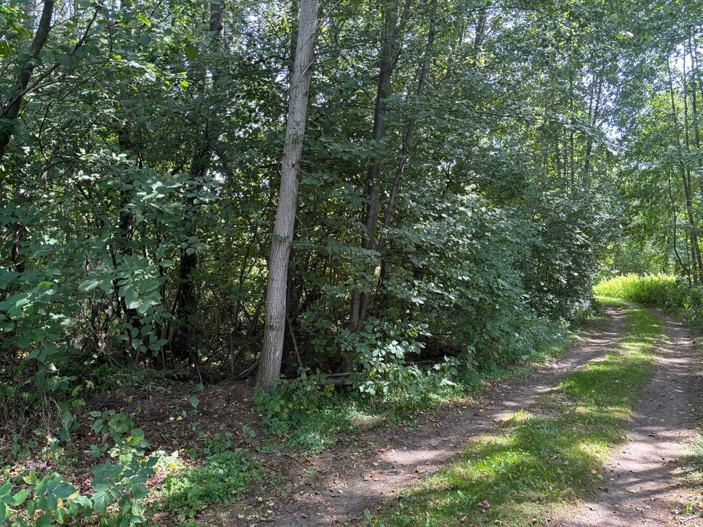Działka 3 566,00 m², oferta nr , 23152/78/OGS, Ludwinów