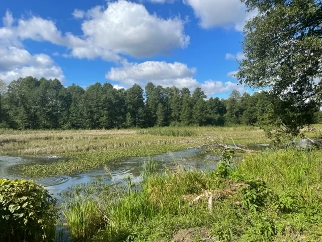 Działka 26 000,00 m², oferta nr , 23154/78/OGS, Nowe Załubice