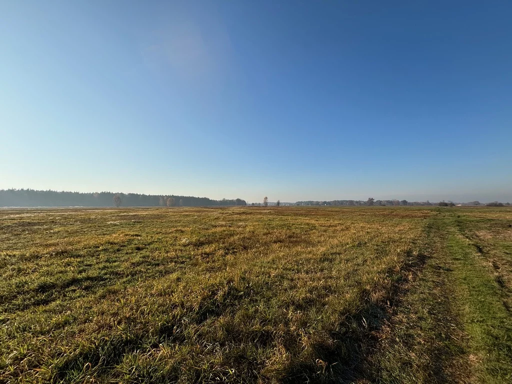 23157/78/OGS - zdjęcie nr 2