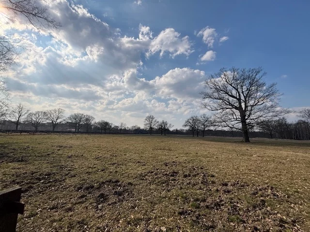 Działka 37 400,00 m², oferta nr , 23161/78/OGS, Nowe Załubice