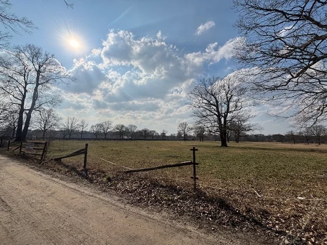 Działka 37 400,00 m², oferta nr , 23161/78/OGS, Nowe Załubice