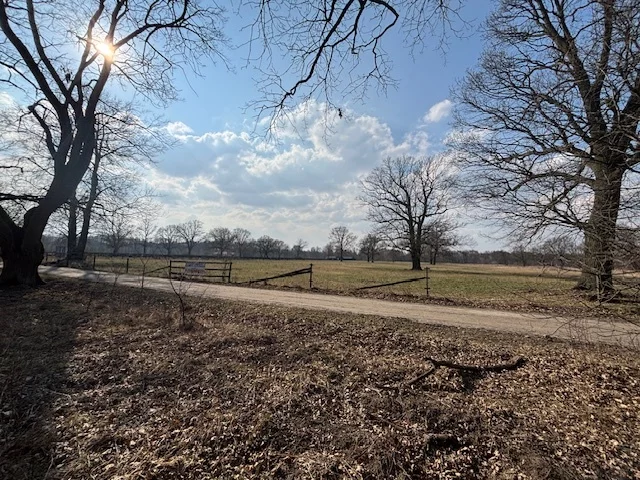 Działka 37 400,00 m², oferta nr , 23161/78/OGS, Nowe Załubice