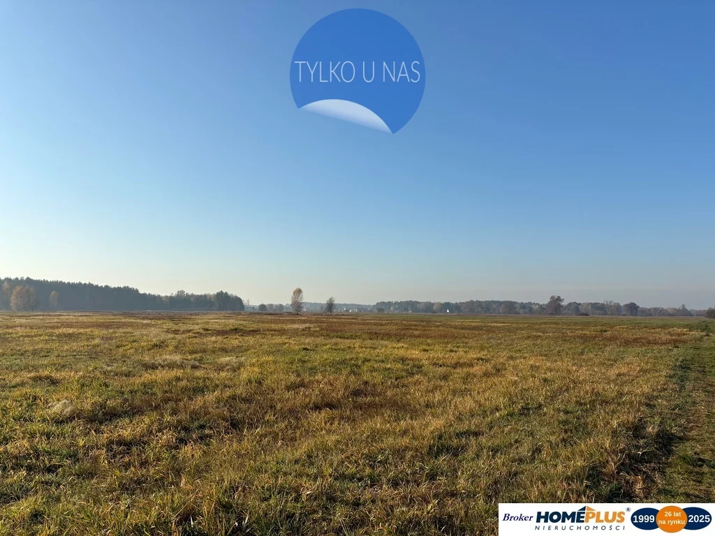 Apartamenty 23255/78/OGS Nowe Załubice