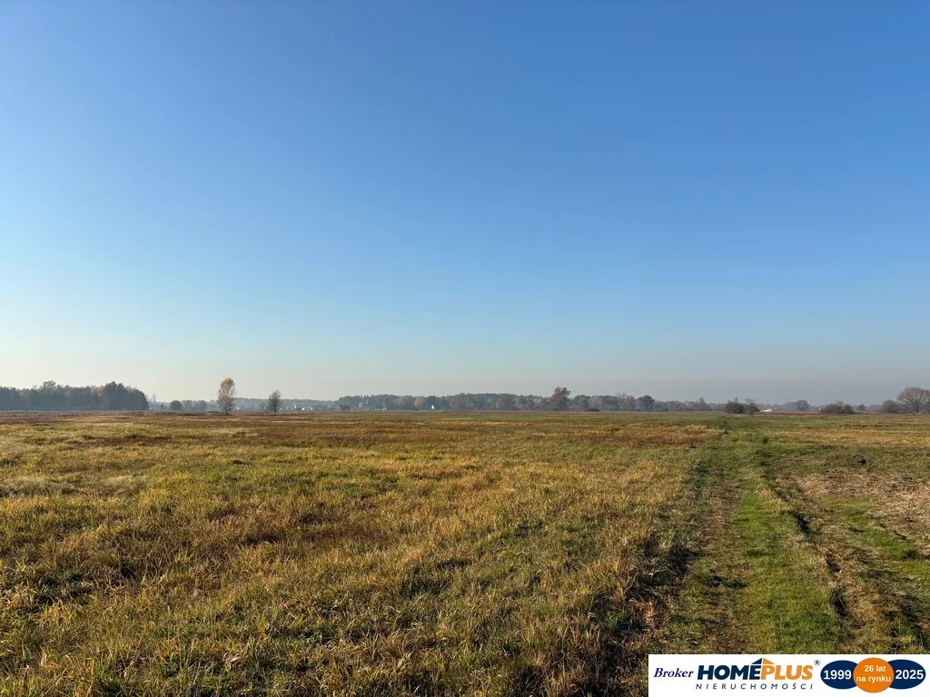 Działka 27 100,00 m², oferta nr , 23255/78/OGS, Nowe Załubice