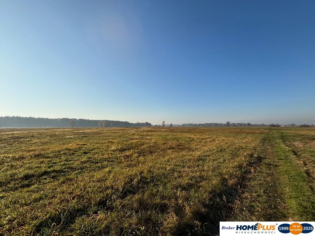 Działka 27 100,00 m², oferta nr , 23255/78/OGS, Nowe Załubice