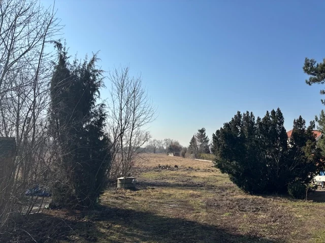 23129/78/OGS - zdjęcie nr 2