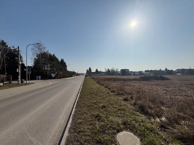 23129/78/OGS - zdjęcie nr 3