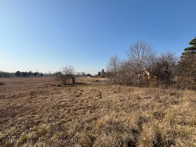 23129/78/OGS - zdjęcie nr 4