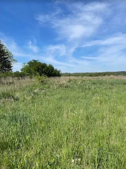 Działka 5 548,00 m², oferta nr , 23171/78/OGS, Radzymin