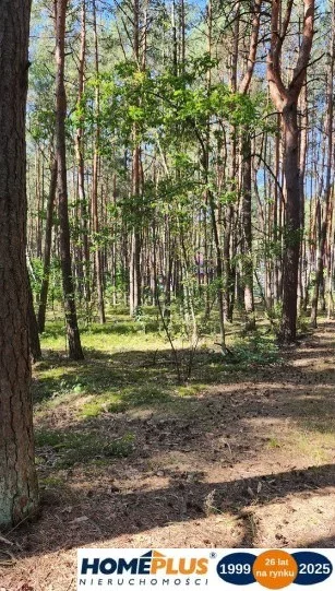 Apartamenty 23214/78/OGS Radzymin