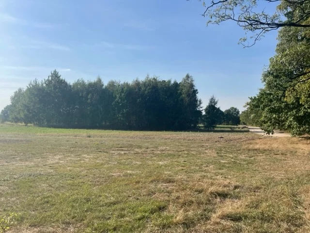 Działka 22 000,00 m², oferta nr , 22781/78/OGS, Rasztów
