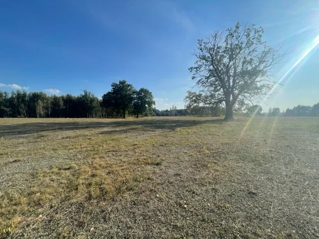 Działka 22 000,00 m², oferta nr , 22781/78/OGS, Rasztów