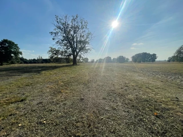 Działka 22 000,00 m², oferta nr , 22781/78/OGS, Rasztów