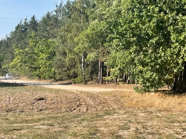 Działka 22 000,00 m², oferta nr , 22781/78/OGS, Rasztów