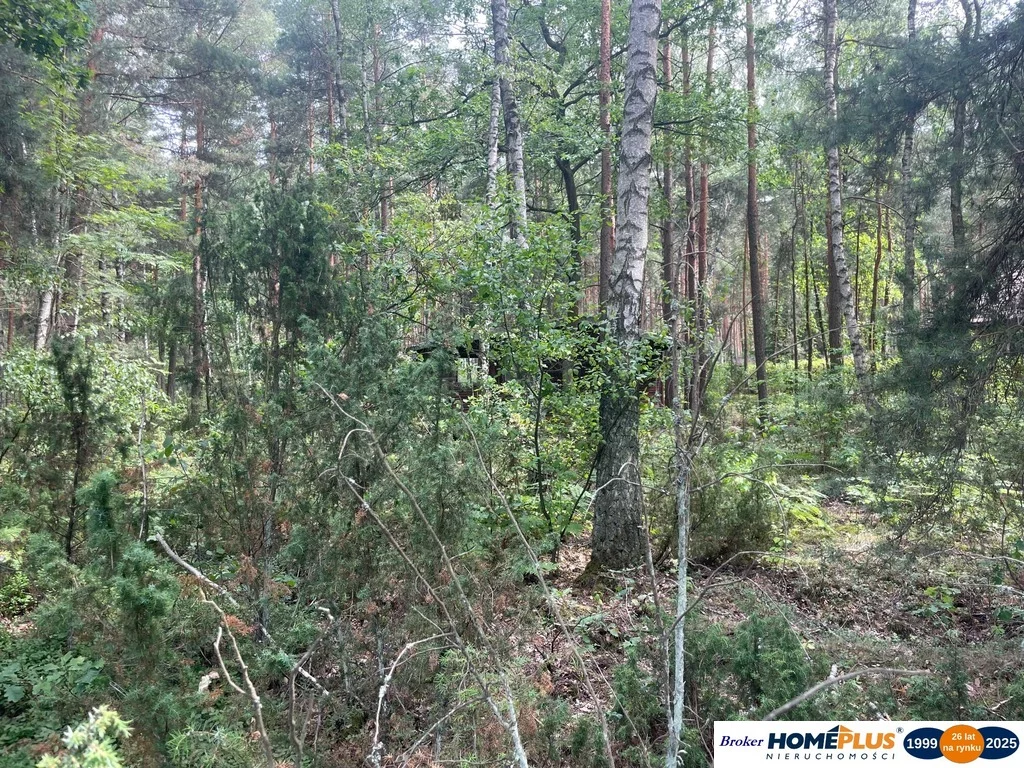 Działka 1 500,00 m², oferta nr , 23258/78/OGS, Ruda
