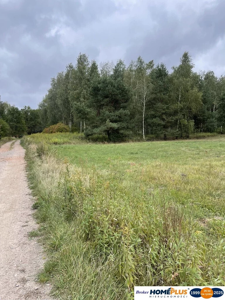 Apartamenty 23260/78/OGS Sieraków