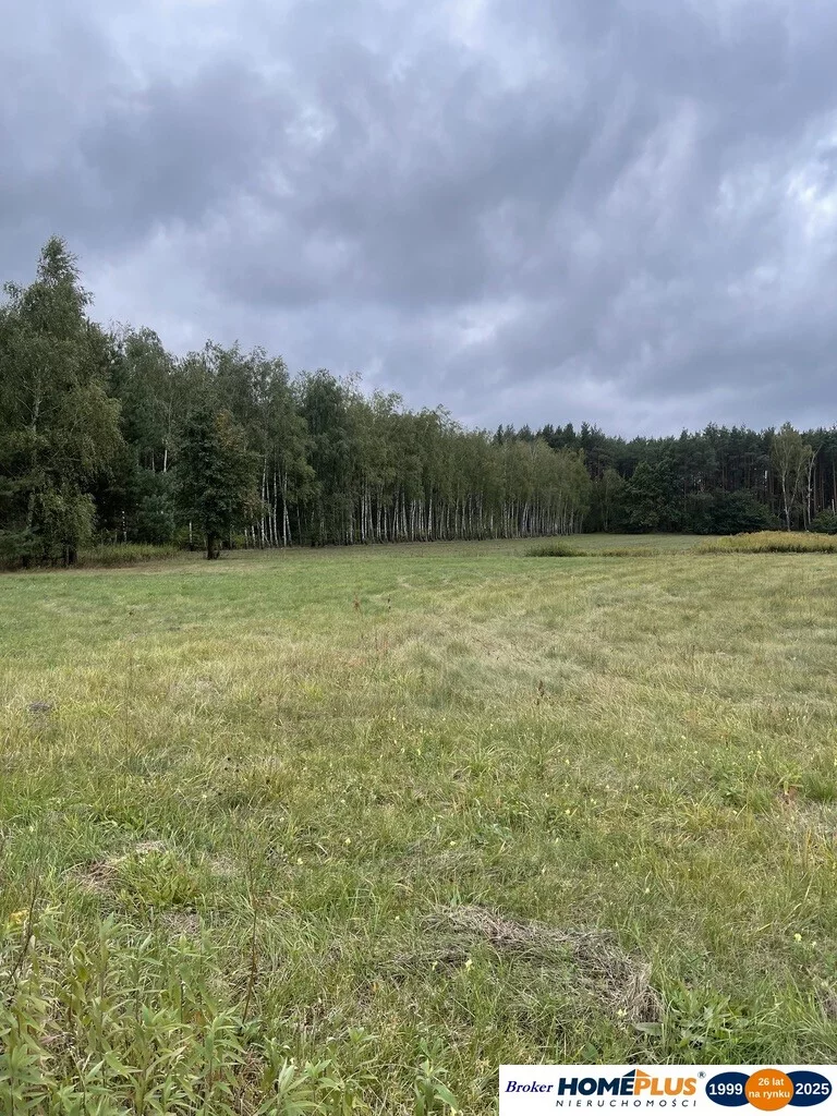Działka 7 000,00 m², oferta nr , 23260/78/OGS, Sieraków