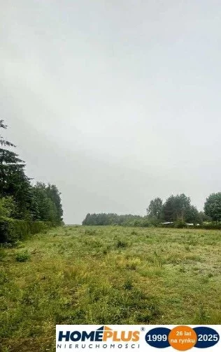 23202/78/OGS - zdjęcie nr 0
