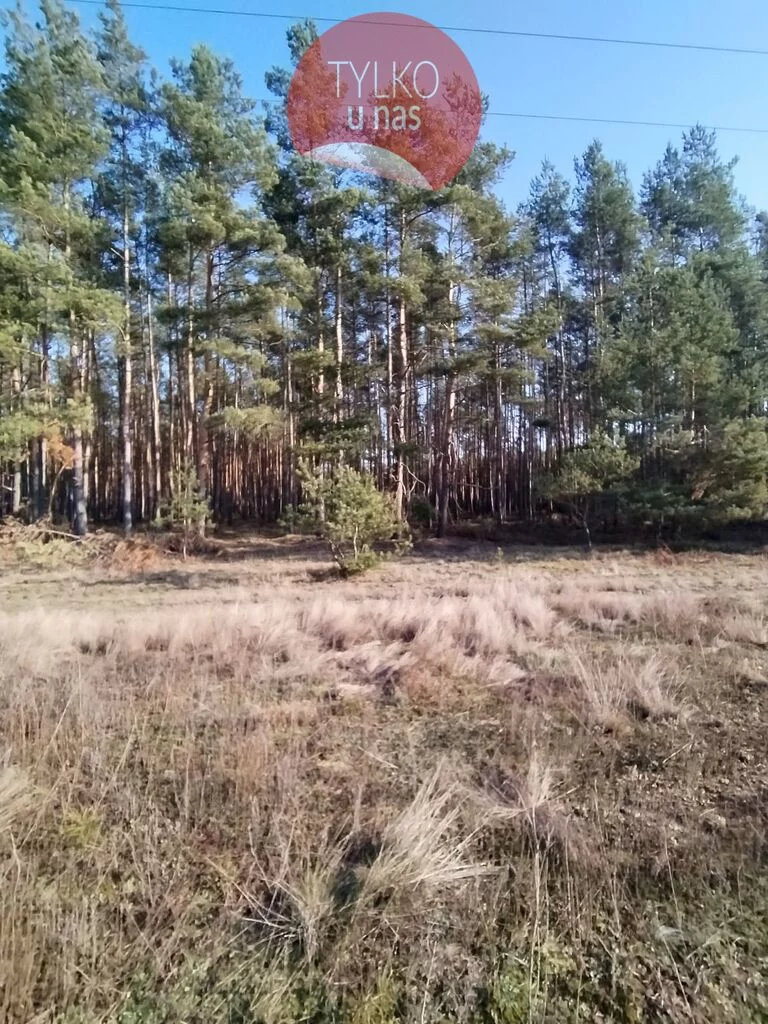 Działka 2 093,00 m², Zarośle Cienkie, Sprzedaż