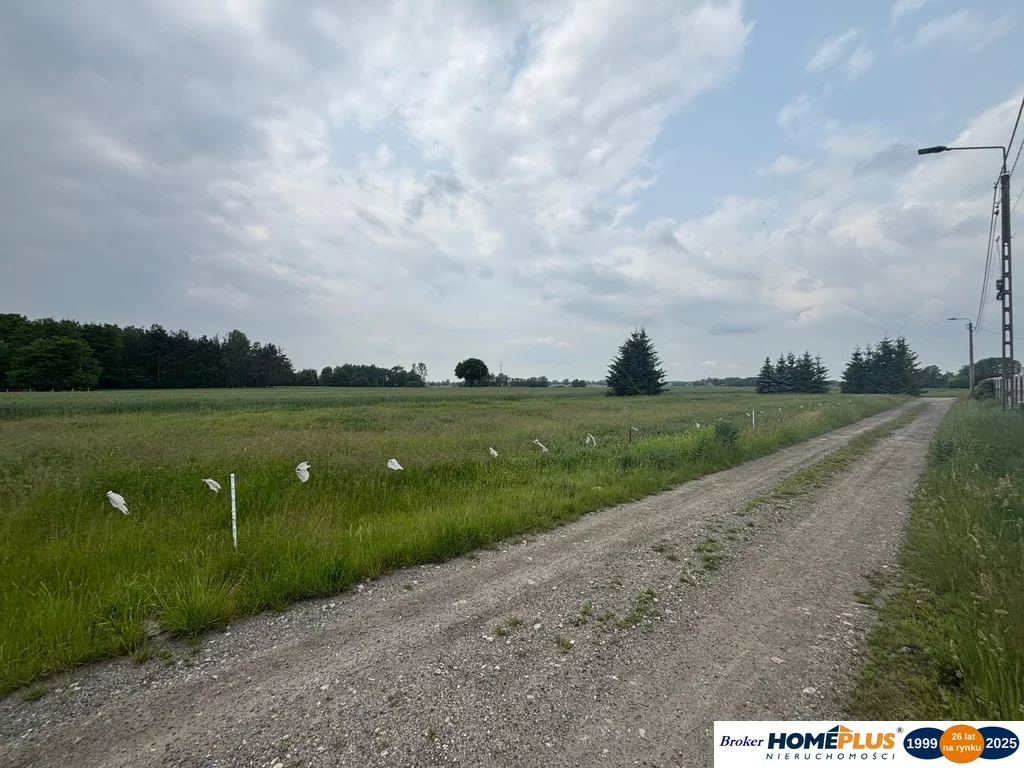 Działka 1 000,00 m², oferta nr , 23244/78/OGS, Zwierzyniec