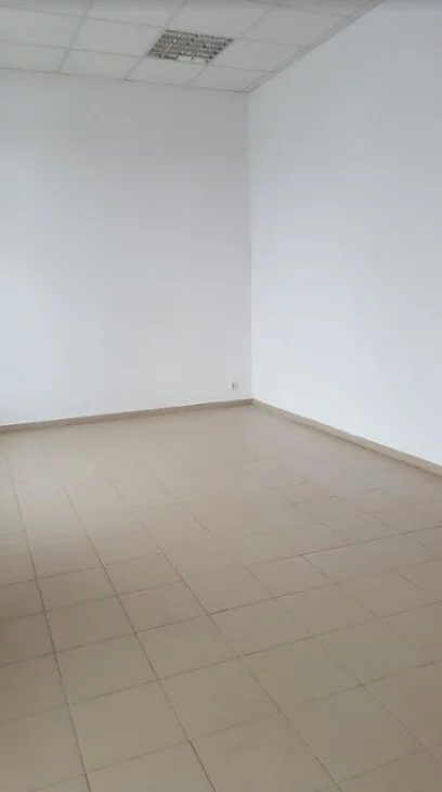 2590/78/OLW - zdjęcie nr 3