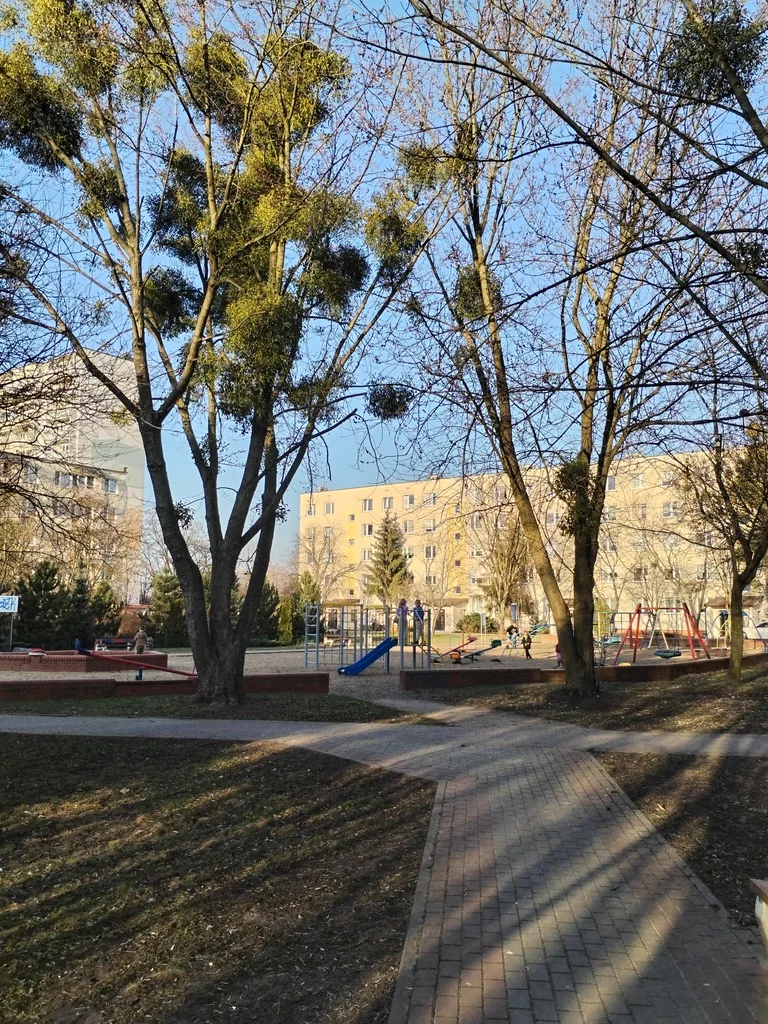 3 pokoje, mieszkanie 60,78 m², piętro 2, oferta nr , 122647/78/OMS, Toruń, Na Skarpie, Tomasza Stawisińskiego