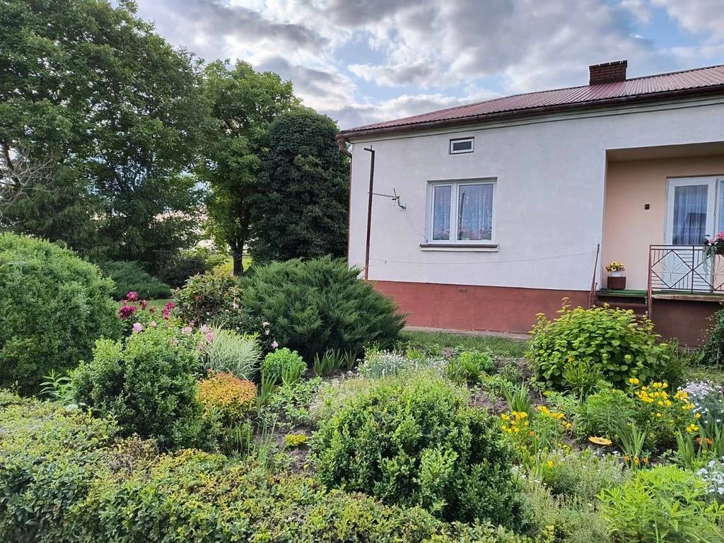 8830/3186/ODS - zdjęcie nr 0