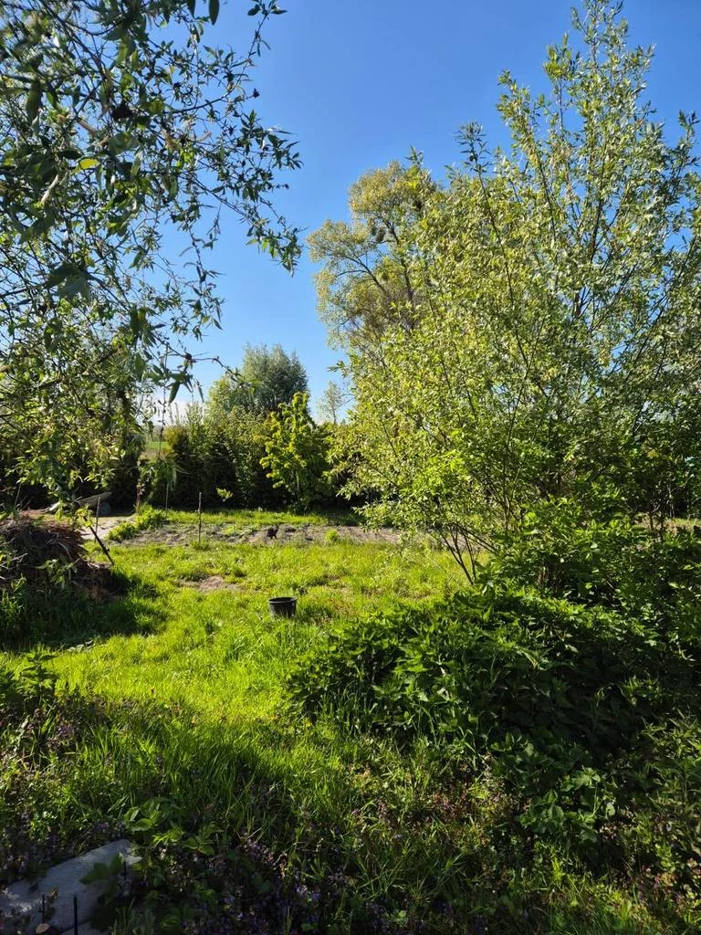 Dom i rezydencja 100,00 m², oferta nr , 8905/3186/ODS, Wierciny