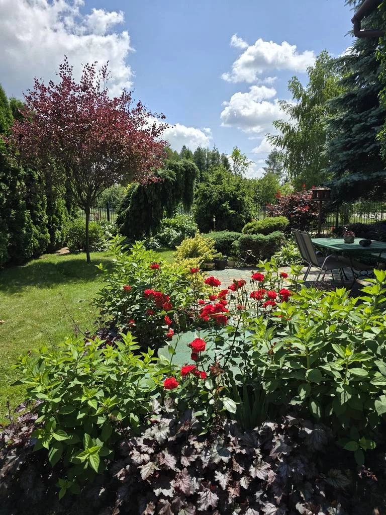 Dom i rezydencja 130,30 m², oferta nr , 8935/3186/ODS, Nowy Sącz, Bohaterów Orła Białego