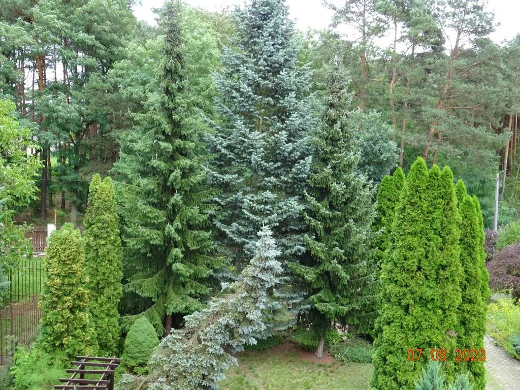 Dom 153,00 m², oferta nr , 8889/3186/ODS, Długa Szlachecka, Jana Matejki