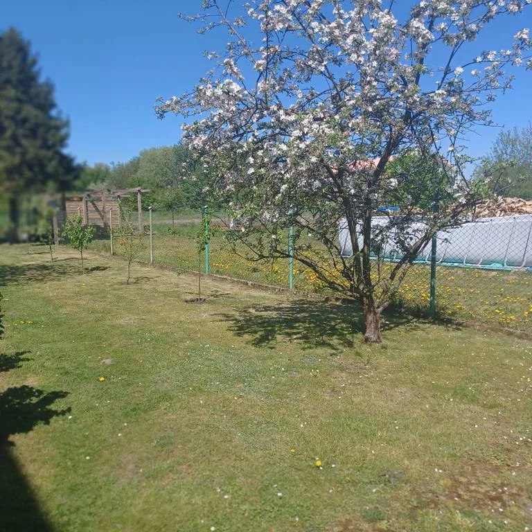 Dom 200,00 m², oferta nr , 8943/3186/ODS, Żukowo, Dworcowa