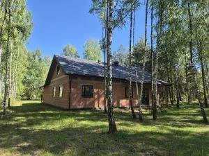 Dom 170,00 m², oferta nr , 8903/3186/ODS, Korabiewice