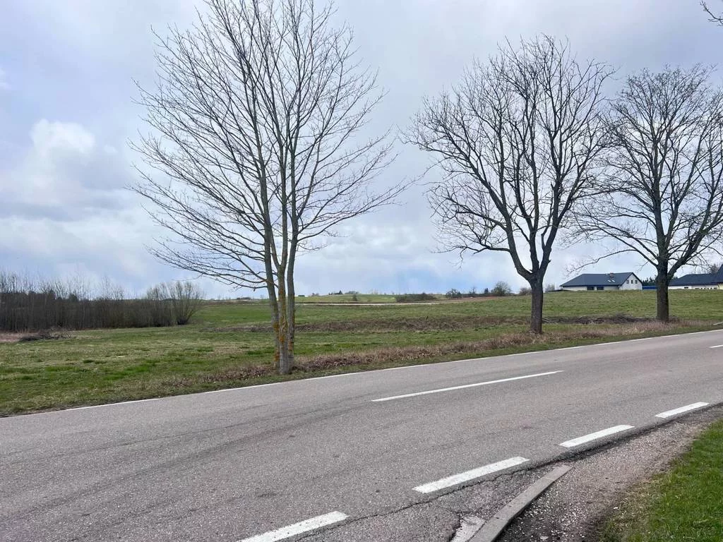 Działka 6 000,00 m², oferta nr , 42983/3186/OGS, Sejny, 1 Maja