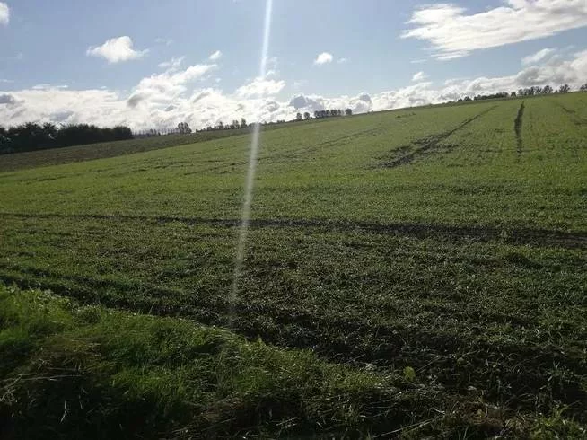 Działka 8 200,00 m², oferta nr , 43043/3186/OGS, Białogarda