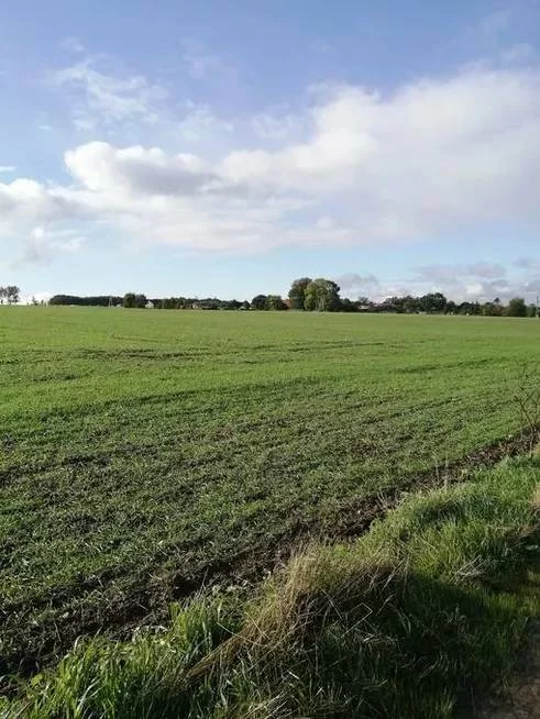 Działka 8 200,00 m², oferta nr , 43043/3186/OGS, Białogarda