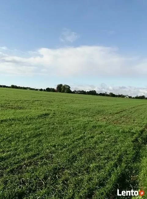 Działka 8 200,00 m², oferta nr , 43043/3186/OGS, Białogarda
