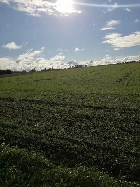 Działka 8 200,00 m², oferta nr , 43043/3186/OGS, Białogarda