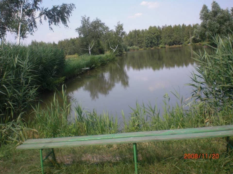 Apartamenty 43012/3186/OGS Bogatynia
