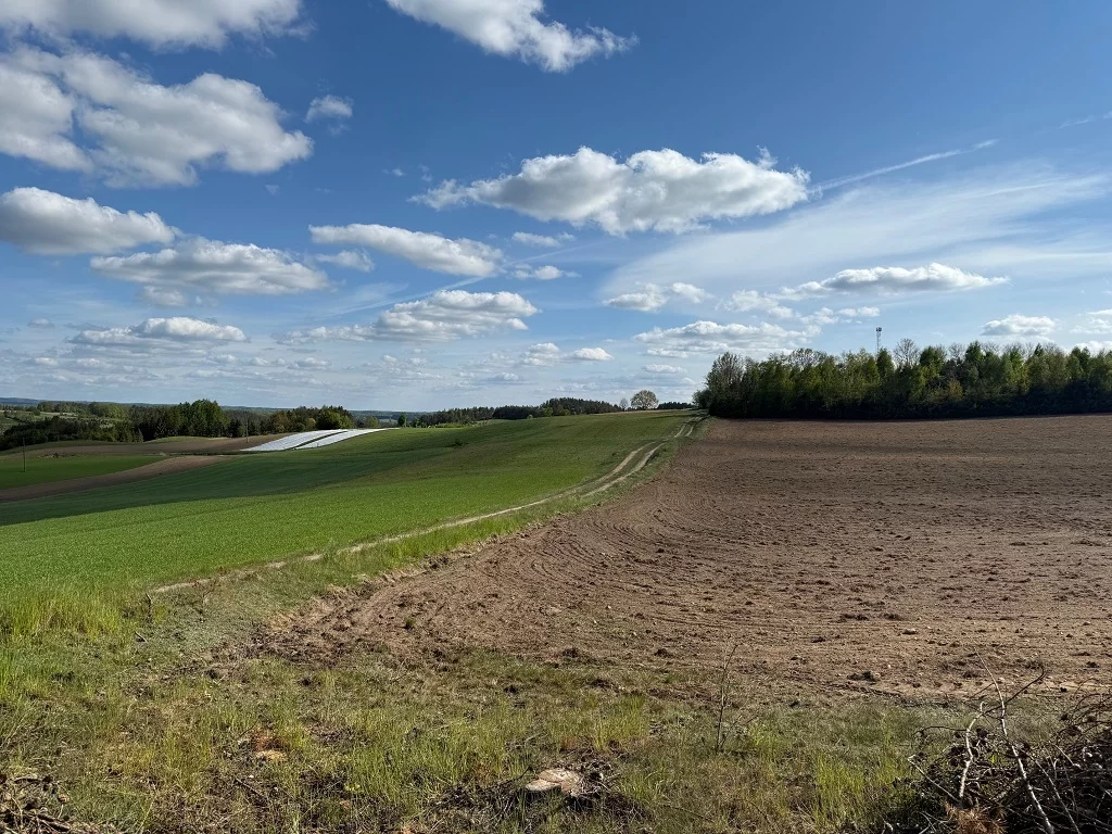 Działka 1 149,00 m², oferta nr , 42721/3186/OGS, Borzestowo