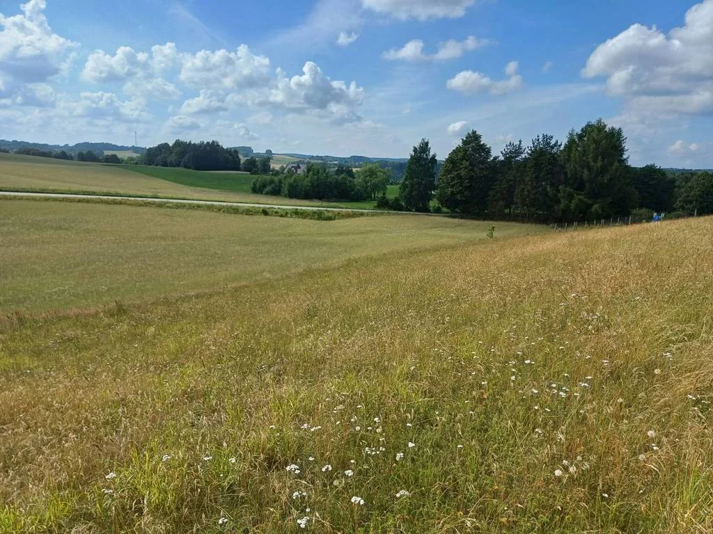 Apartamenty 43143/3186/OGS Borzestowska Huta