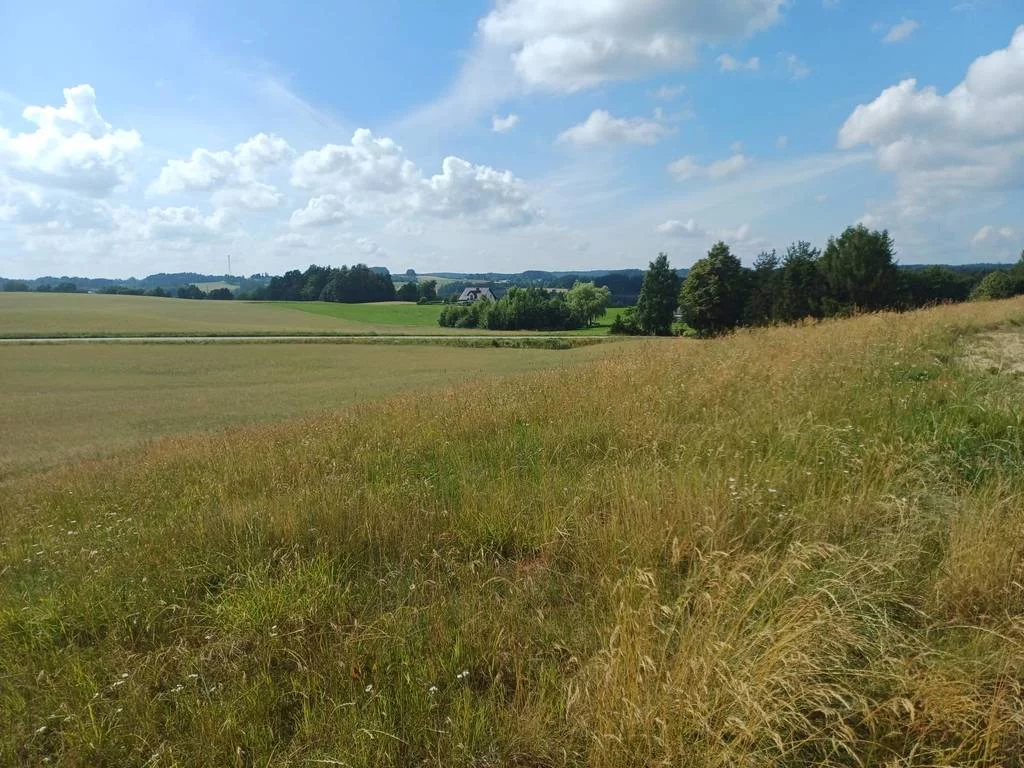 Działka 1 011,00 m², oferta nr , 43143/3186/OGS, Borzestowska Huta