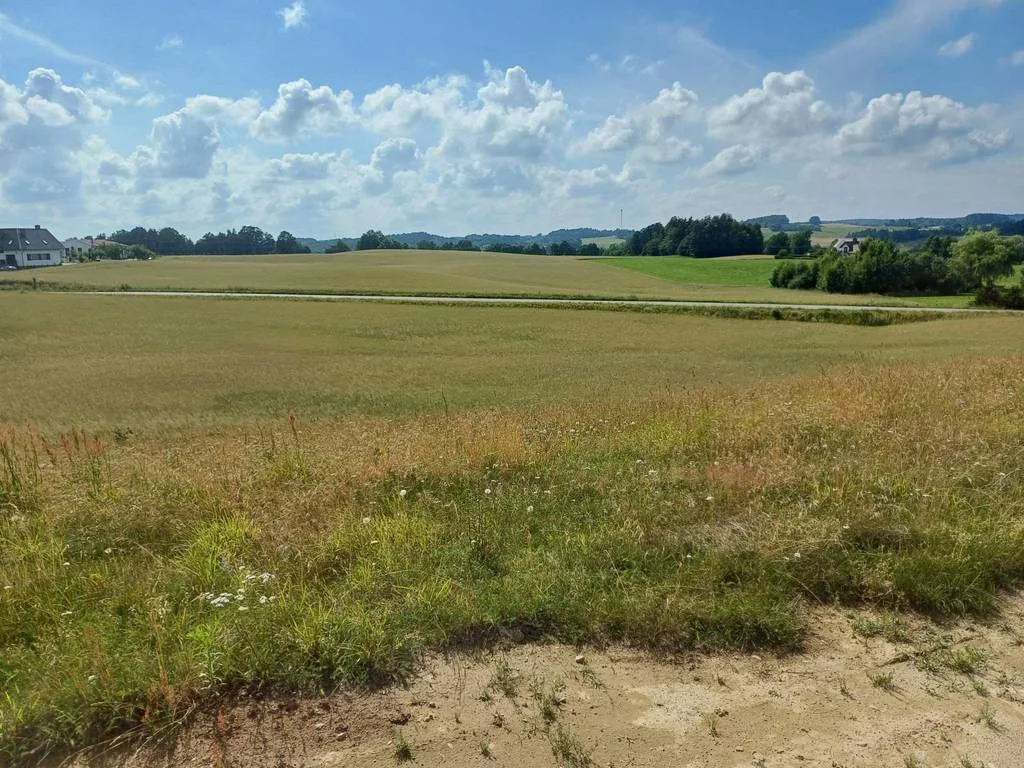 Działka 1 011,00 m², oferta nr , 43143/3186/OGS, Borzestowska Huta