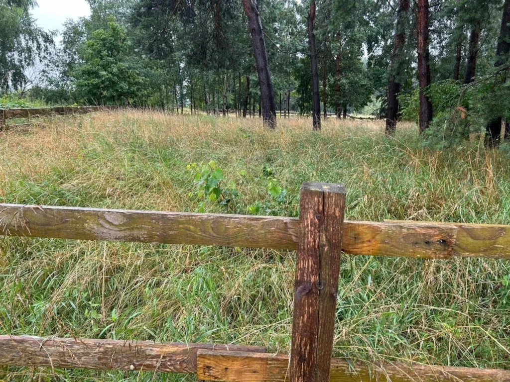 Działka 1 128,00 m², oferta nr , 43101/3186/OGS, Dębki