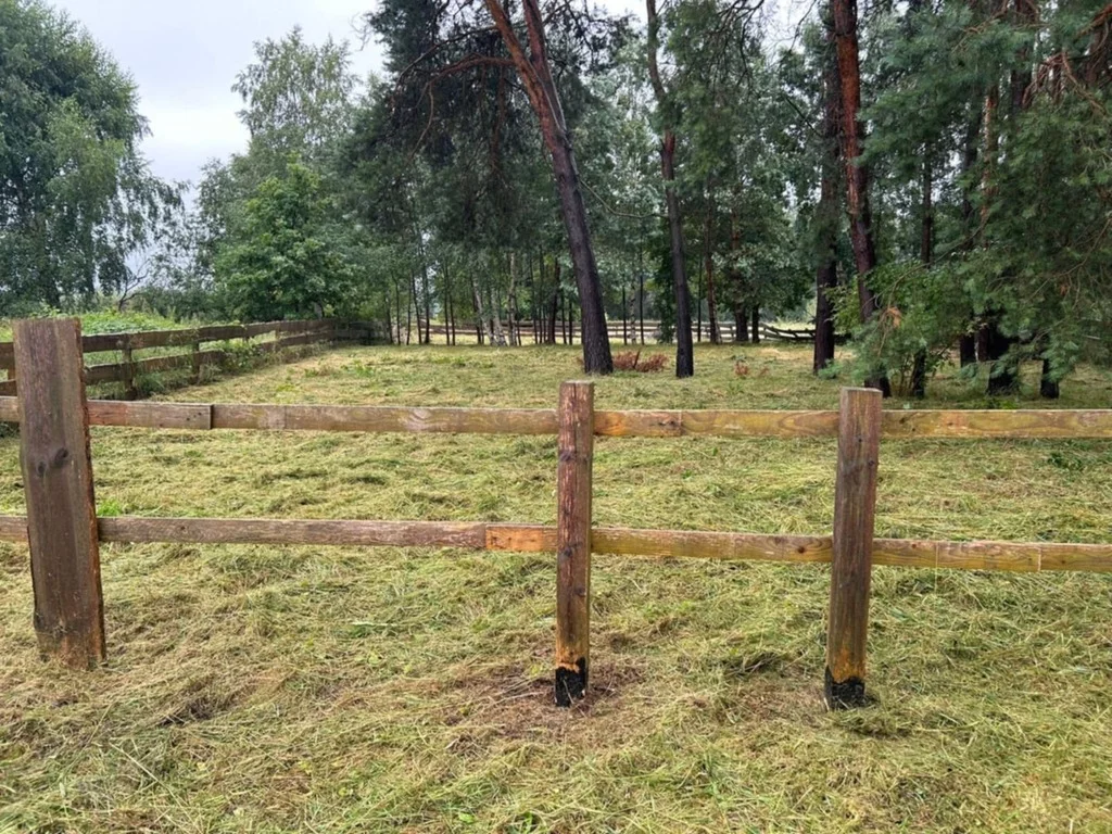 Działka 1 128,00 m², oferta nr , 43101/3186/OGS, Dębki